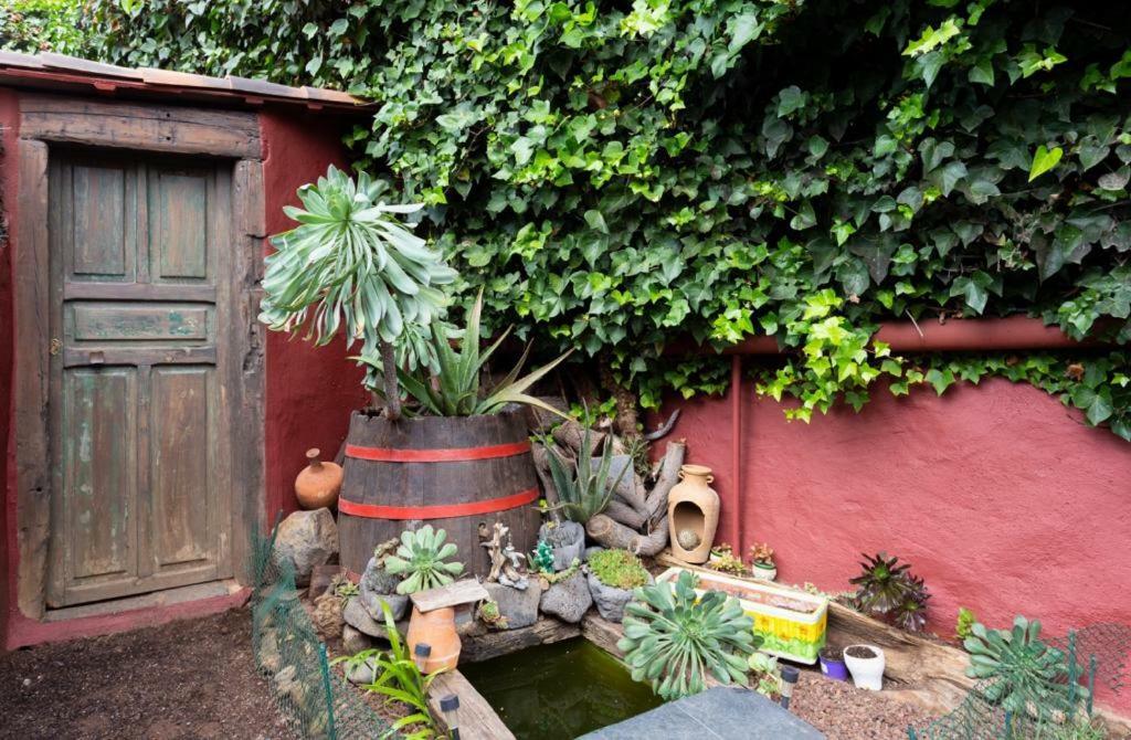 Casa Florida Apartment La Orotava Luaran gambar