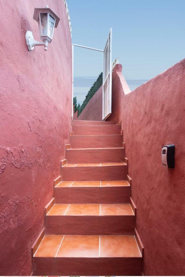 Casa Florida Apartment La Orotava Luaran gambar
